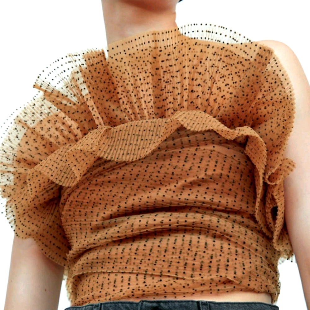 Zara ruffled polka dot tulle crop top